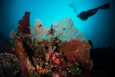underwater