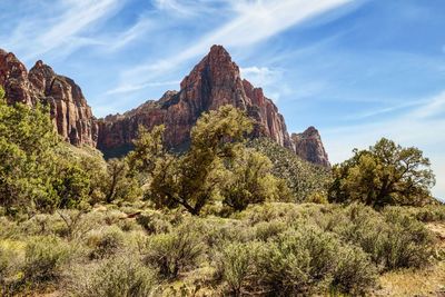 The watchman cliff seen from watchman trail loop in the desert of zion national park, utah
