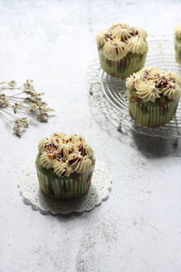 High angle view of cupcakes on plant