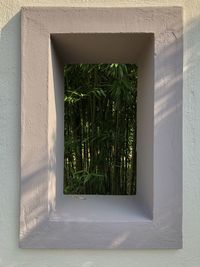 Close-up of window on wall