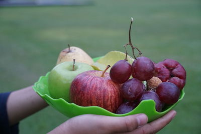 Close-up of hand holding fruits