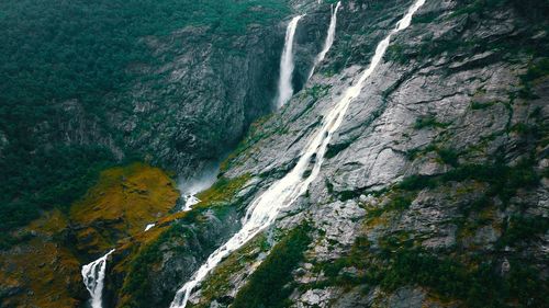 Low angle view of waterfall in forest