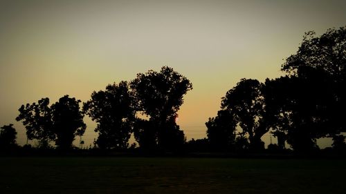 Silhouette of trees at sunset
