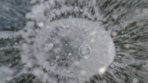 Close-up of water drops on leaf