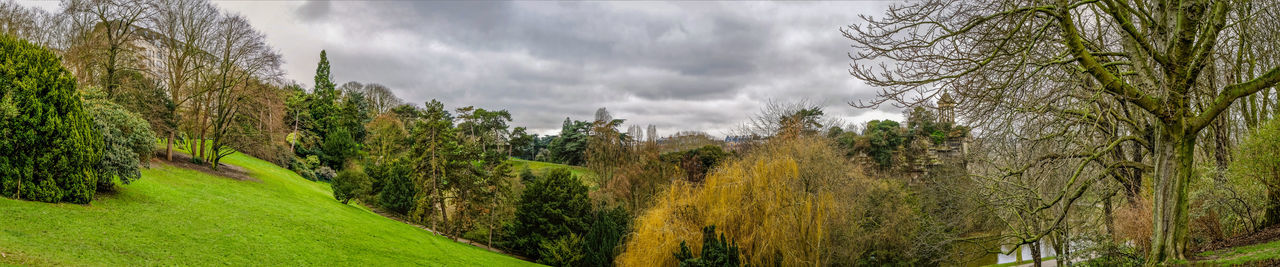 Panoramic shot of trees on field against sky