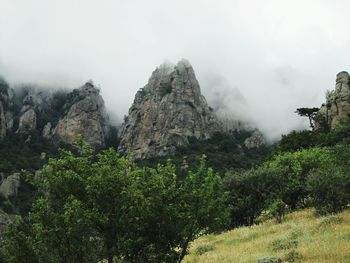 Trees on mountain against sky