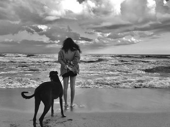 Dog on beach by sea against sky