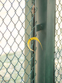 Close-up of chainlink fence