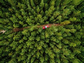 High angle view of car on road 