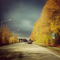 Empty road along trees