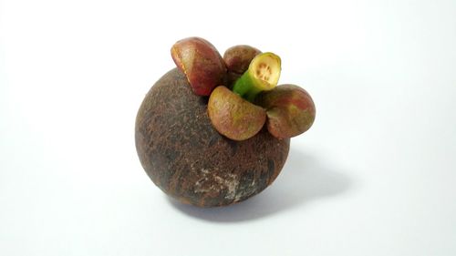 Close-up of fruits against white background