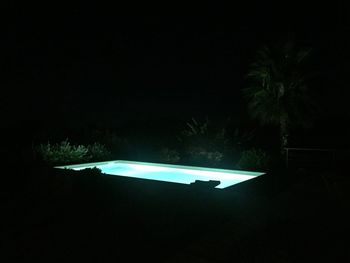 Illuminated trees against clear sky at night