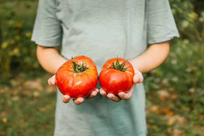 Midsection of person holding tomatoes