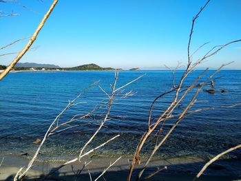 Scenic view of sea against clear blue sky