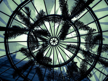 Low angle view of palm trees against sky