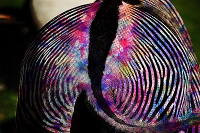 Close-up of multi colored light