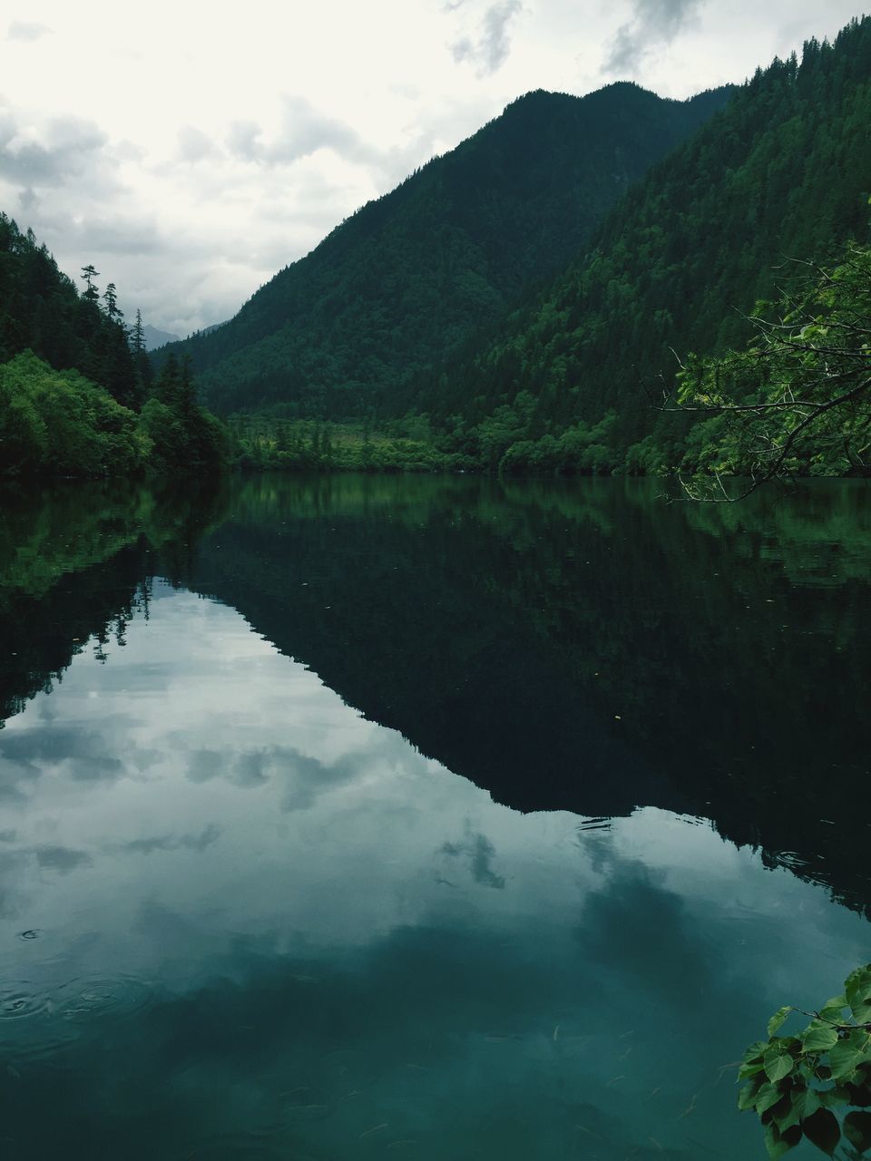 reflection, water, lake, tranquil scene, tranquility, mountain, scenics, sky, beauty in nature, standing water, tree, nature, cloud - sky, waterfront, idyllic, cloud, calm, mountain range, non-urban scene, green color