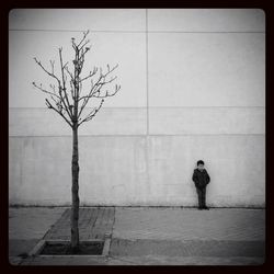 Full length of woman walking on bare tree