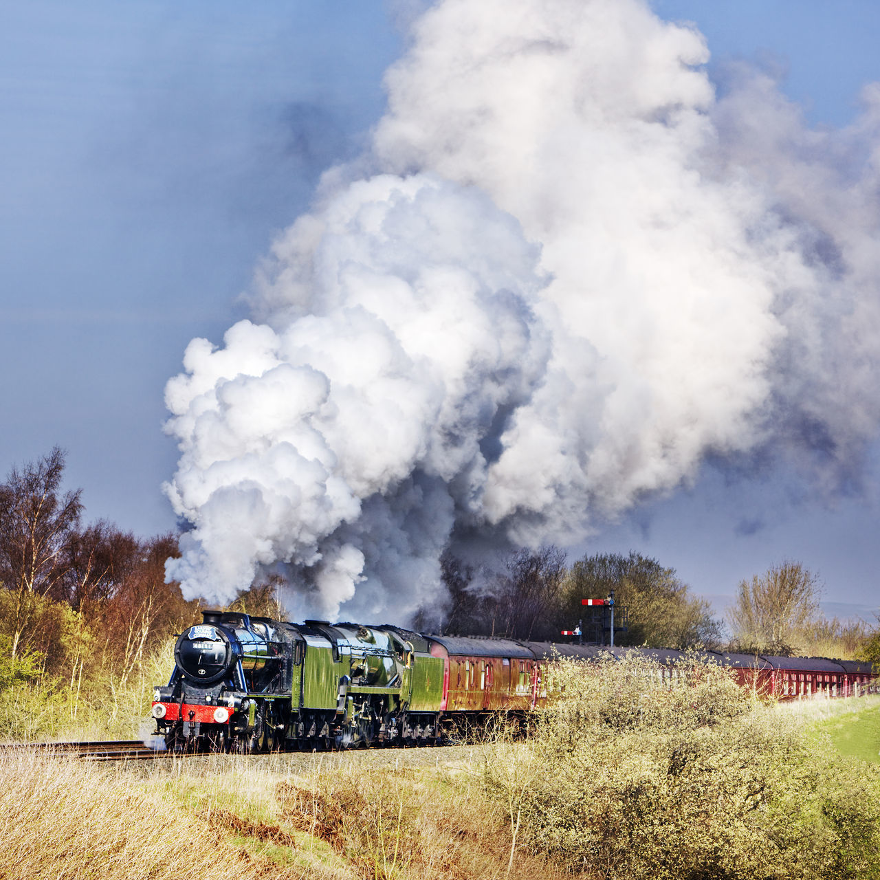 Preserved Locomotives