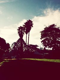 Low angle view of silhouette trees against sky