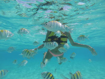 Young woman swimming with fish undersea