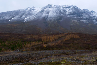 Scenic view of snow covered mountains