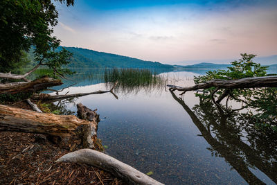 Sunrise at the laacher lake