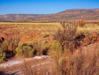 Scenic view of landscape against clear blue sky