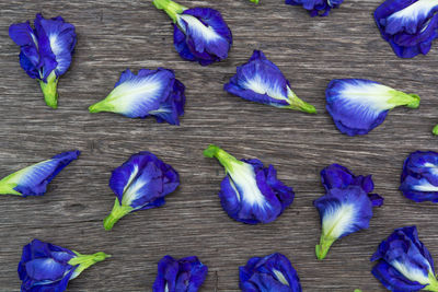 High angle view of purple flowering plants on wooden table
