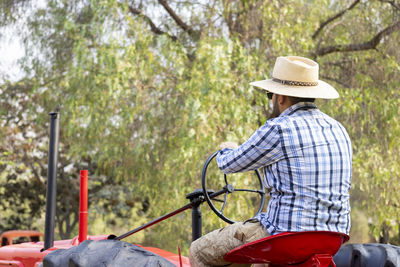 Rear view of man holding hat