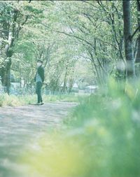 Man walking on footpath in forest