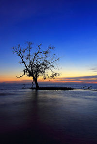Silhouette bare tree by sea against clear sky