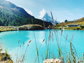 Scenic view of lake against blue sky