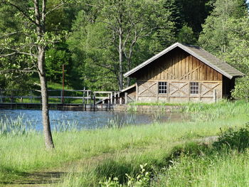 View of abandoned house in forest