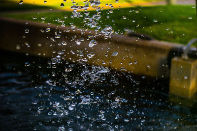 Close-up of water drops on leaf