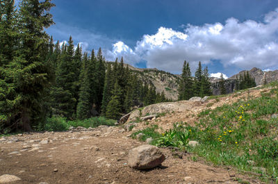 Scenic view of pine trees and mountains against sky