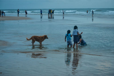 People enjoying at beach in goa