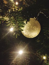 Low angle view of illuminated tree at night