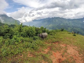 Scenic view of landscape against mountains