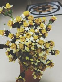 Close-up of yellow flowering plant