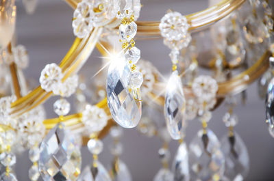 Close-up of white flowers hanging