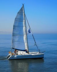 Sailboat sailing on sea against clear sky