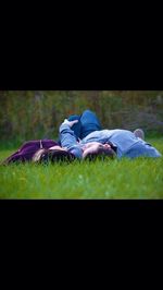 grass