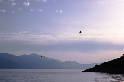 Silhouette of person flying over sea against sky