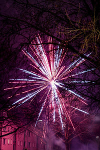 Low angle view of illuminated tree against sky at night