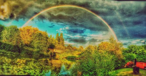 Scenic view of rainbow over trees