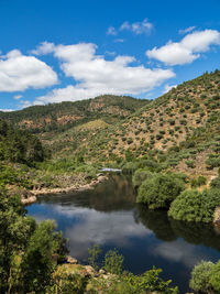 Scenic view of lake by trees against sky