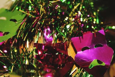 Close-up of christmas tree