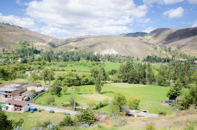 Scenic view of field and trees against sky