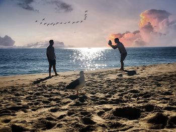 Silhouette people on beach against sky during sunset